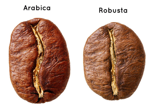 Arabica or Robusta?