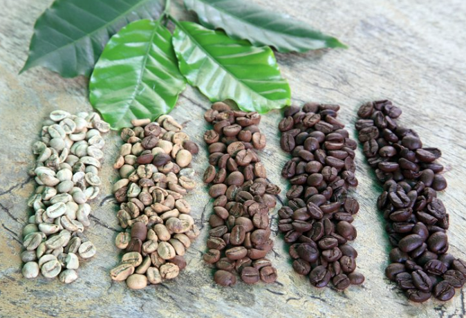 Mayan’s Coffee History